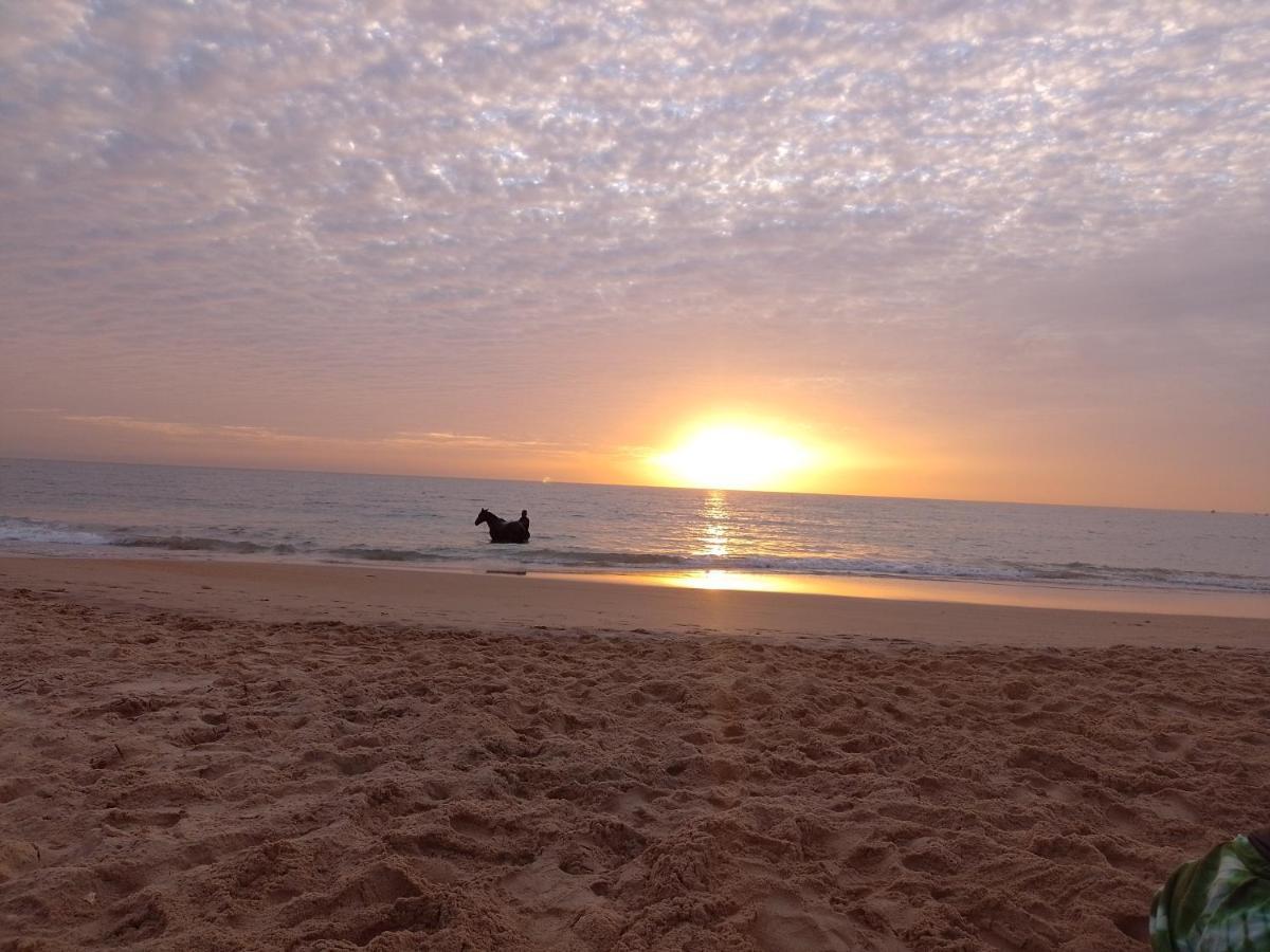 Paradisplage, 1 Minute De La Mer Saly Portudal Ngoại thất bức ảnh