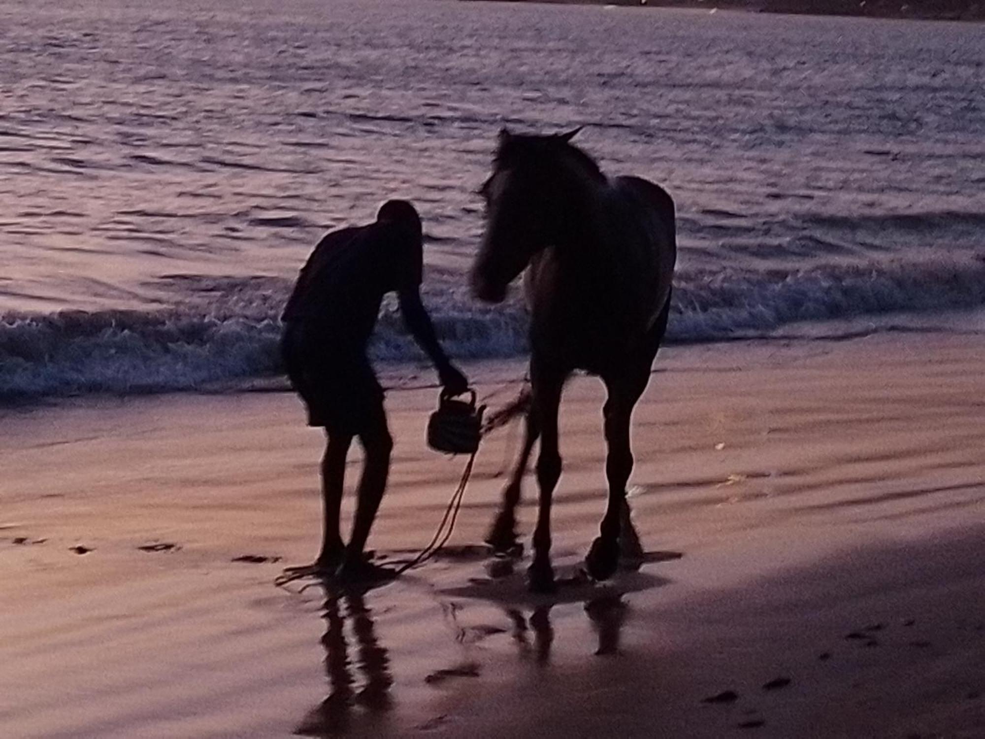 Paradisplage, 1 Minute De La Mer Saly Portudal Ngoại thất bức ảnh
